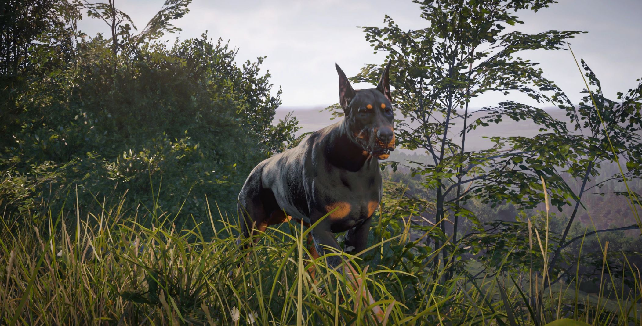 Dobermann – Mutt Replacement v1.0.1