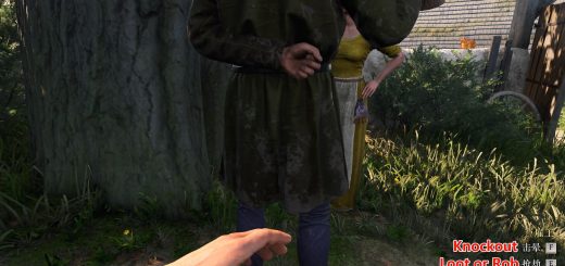 Loot or Carry Everyone v1.0