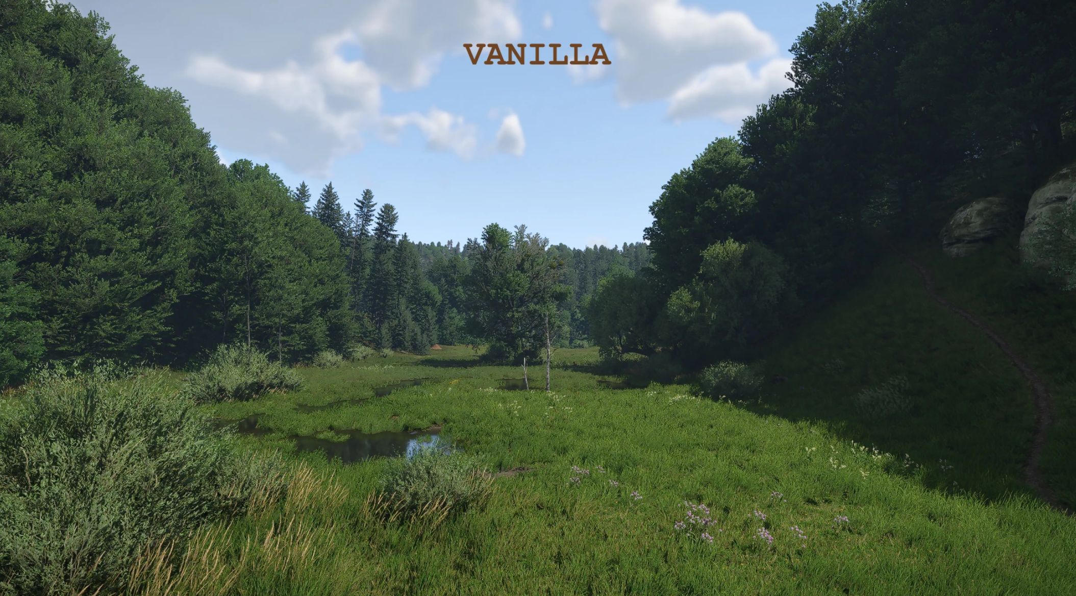 Vivid Bohemia – Enhanced and Varied Vegetation Textures v1.2